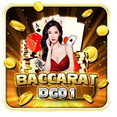 dg5566